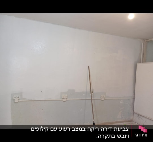 קיר צבוע עם רולר צביעה מונח על הרצפה